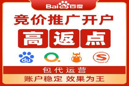 SEM代理助力品牌：案例解析与优化策略